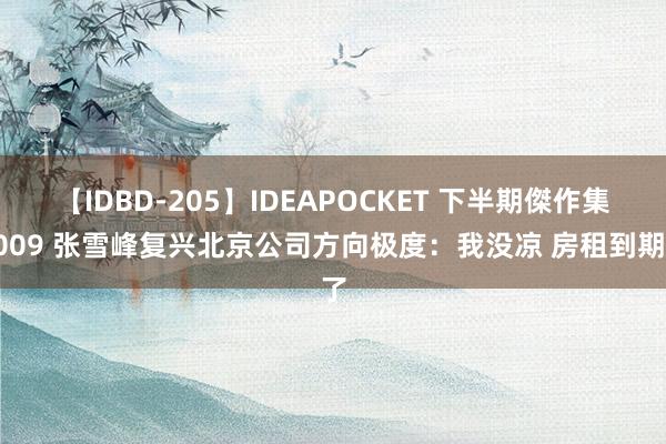 【IDBD-205】IDEAPOCKET 下半期傑作集2009 张雪峰复兴北京公司方向极度：我没凉 房租到期了