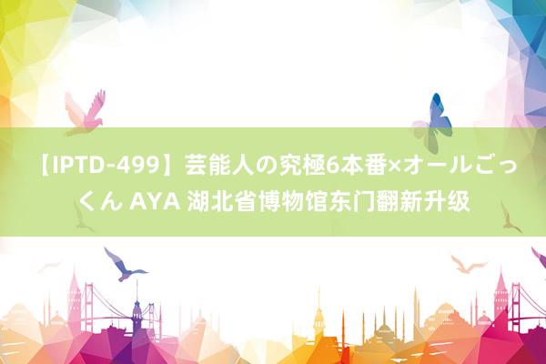 【IPTD-499】芸能人の究極6本番×オールごっくん AYA 湖北省博物馆东门翻新升级