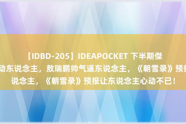 【IDBD-205】IDEAPOCKET 下半期傑作集2009 李兰迪秀气动东说念主，敖瑞鹏帅气逼东说念主，《朝雪录》预报让东说念主心动不已！