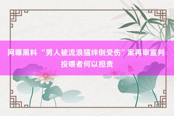 网曝黑料 “男人被流浪猫绊倒受伤”案再审宣判 投喂者何以担责