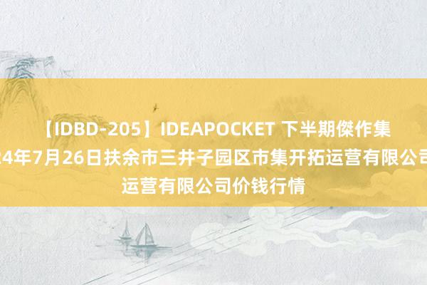 【IDBD-205】IDEAPOCKET 下半期傑作集2009 2024年7月26日扶余市三井子园区市集开拓运营有限公司价钱行情