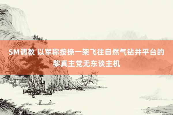 SM调教 以军称按捺一架飞往自然气钻井平台的黎真主党无东谈主机