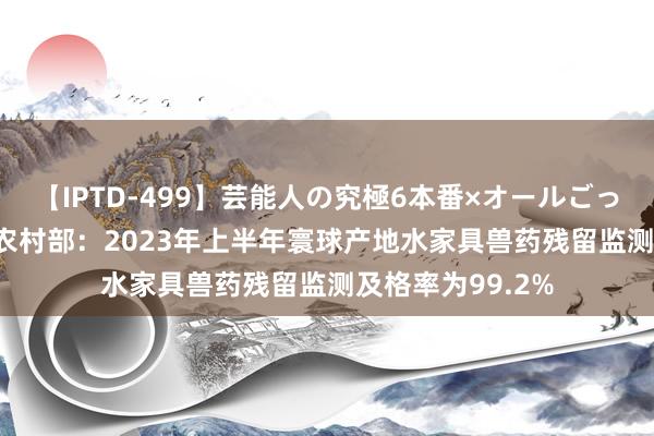 【IPTD-499】芸能人の究極6本番×オールごっくん AYA 农业农村部：2023年上半年寰球产地水家具兽药残留监测及格率为99.2%