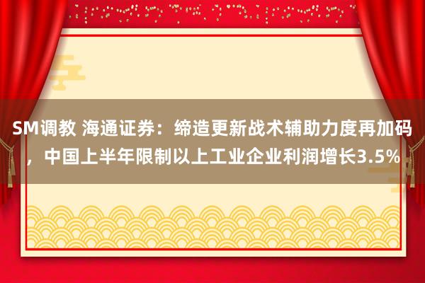 SM调教 海通证券：缔造更新战术辅助力度再加码，中国上半年限制以上工业企业利润增长3.5%