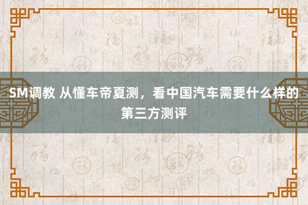 SM调教 从懂车帝夏测，看中国汽车需要什么样的第三方测评