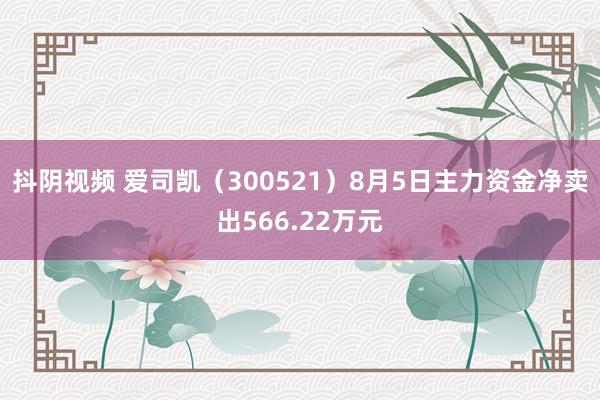 抖阴视频 爱司凯（300521）8月5日主力资金净卖出566.22万元