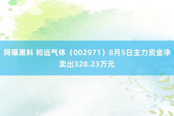 网曝黑料 和远气体（002971）8月5日主力资金净卖出328.23万元