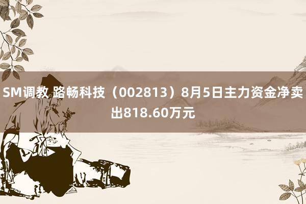 SM调教 路畅科技（002813）8月5日主力资金净卖出818.60万元