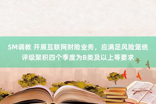 SM调教 开展互联网财险业务，应满足风险笼统评级聚积四个季度为B类及以上等要求