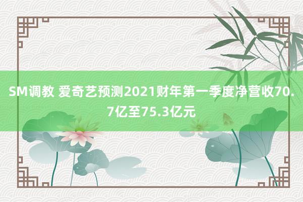 SM调教 爱奇艺预测2021财年第一季度净营收70.7亿至75.3亿元