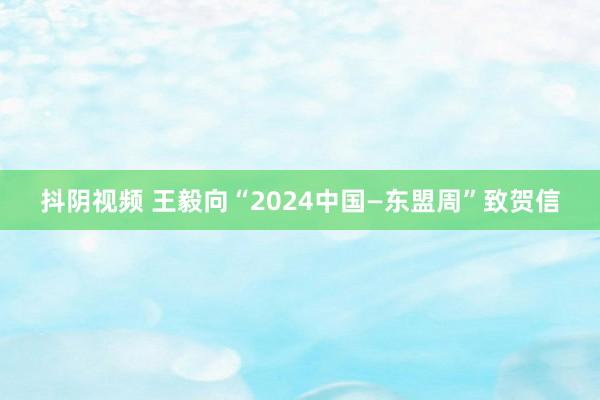 抖阴视频 王毅向“2024中国—东盟周”致贺信