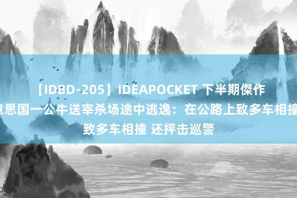 【IDBD-205】IDEAPOCKET 下半期傑作集2009 好意思国一公牛送宰杀场途中逃逸：在公路上致多车相撞 还抨击巡警