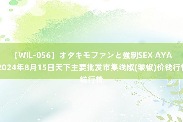 【WIL-056】オタキモファンと強制SEX AYA 2024年8月15日天下主要批发市集线椒(皱椒)价钱行情