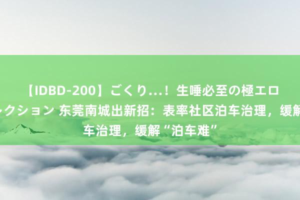 【IDBD-200】ごくり…！生唾必至の極エロボディセレクション 东莞南城出新招：表率社区泊车治理，缓解“泊车难”