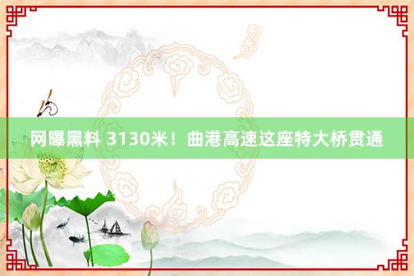 网曝黑料 3130米！曲港高速这座特大桥贯通