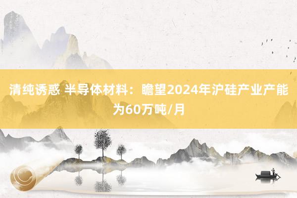 清纯诱惑 半导体材料：瞻望2024年沪硅产业产能为60万吨/月