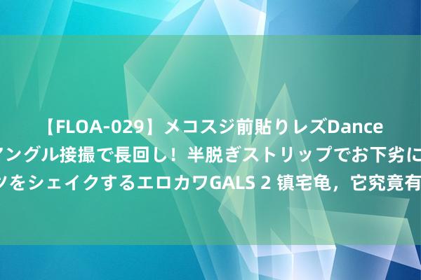 【FLOA-029】メコスジ前貼りレズDance オマ○コ喰い込みをローアングル接撮で長回し！半脱ぎストリップでお下劣にケツをシェイクするエロカワGALS 2 镇宅龟，它究竟有什么玄妙力量：你竟然了解吗？