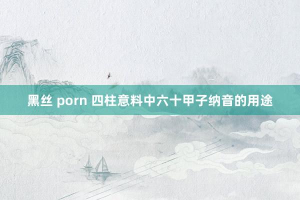 黑丝 porn 四柱意料中六十甲子纳音的用途