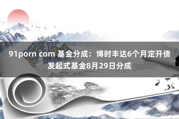 91porn com 基金分成：博时丰达6个月定开债发起式基金8月29日分成