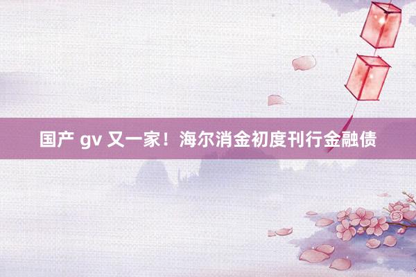 国产 gv 又一家！海尔消金初度刊行金融债