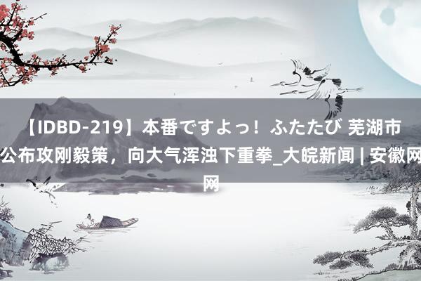 【IDBD-219】本番ですよっ！ふたたび 芜湖市公布攻刚毅策，向大气浑浊下重拳_大皖新闻 | 安徽网