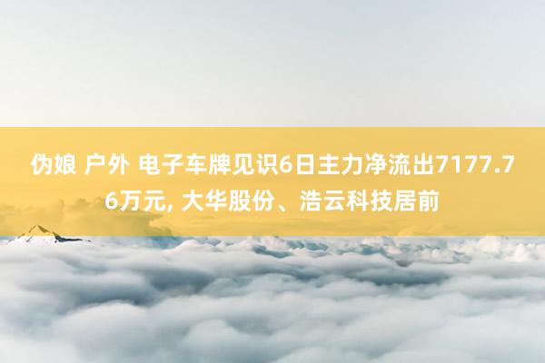 伪娘 户外 电子车牌见识6日主力净流出7177.76万元， 大华股份、浩云科技居前